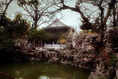 Reflection of trees in water