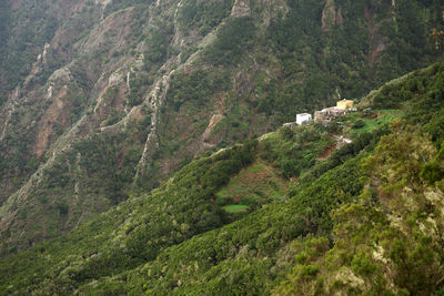 Scenic view of mountain