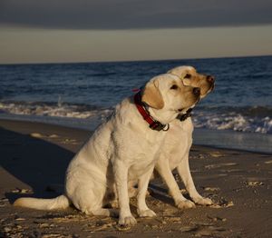 Scenes from the beach on st. george island, florida.