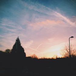 Low angle view of silhouette trees against sky at sunset