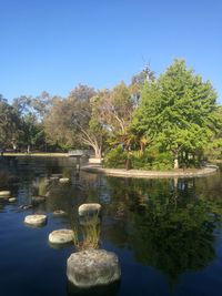 Reflection of trees in water against clear blue sky