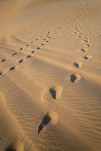 High angle view of footprints on sand at desert