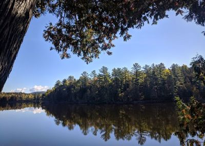 Reflection of trees in lake against sky