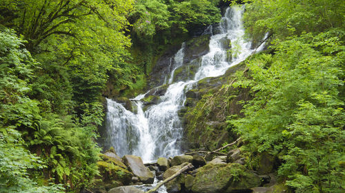 Scenic view of waterfall in forest