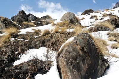 Panoramic view of snowcapped mountains against sky