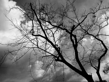 Low angle view of silhouette bare tree against sky