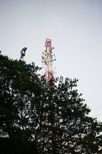 Low angle view of tree against sky