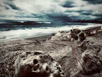 Surface level of beach against sky