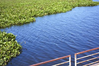 High angle view of lake