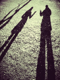 shadow