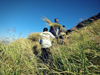 Rear view of men on field against clear blue sky