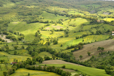 Scenic view of agricultural field