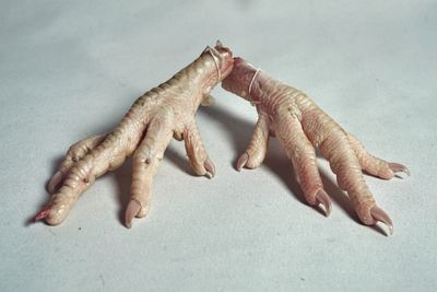 Close-up of human hand against white background