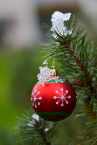 Close-up of christmas ornaments on tree