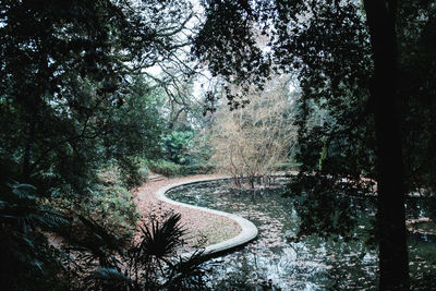 Scenic view of pond and trees at park