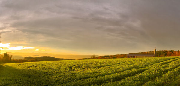 Scenic view of field against sky during sunset