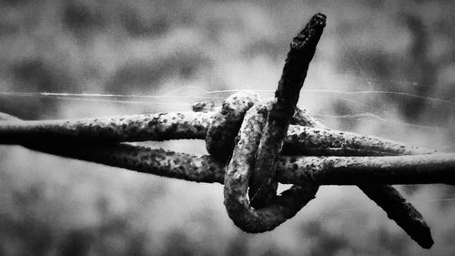 Close-up of rusty metal