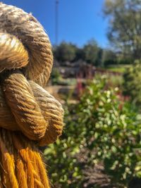 Close-up of rope on field against clear sky