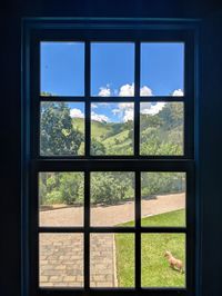 Trees seen through window of building