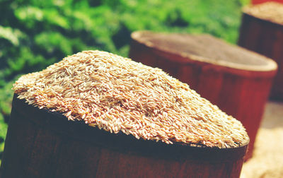 Close-up of food on table