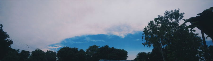 Low angle view of trees against sky