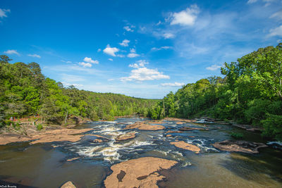 Scenic view of river amidst trees against sky over rapids