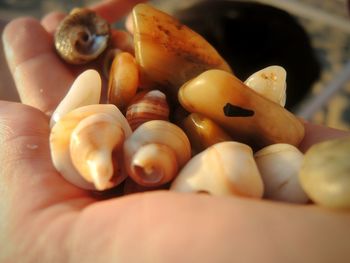 Close-up of hand