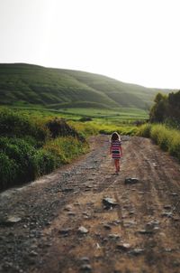 Rear view of woman walking on road amidst field against clear sky