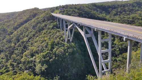 Bridge in forest against sky