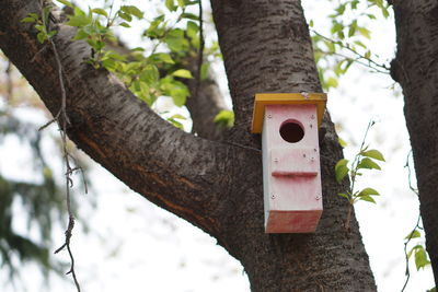 Birdhouse mounted on tree