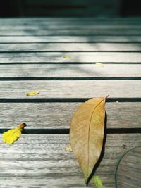Close-up of yellow leaves on wooden bench