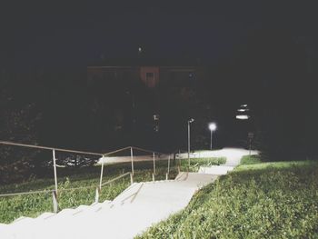 View of trees on field at night