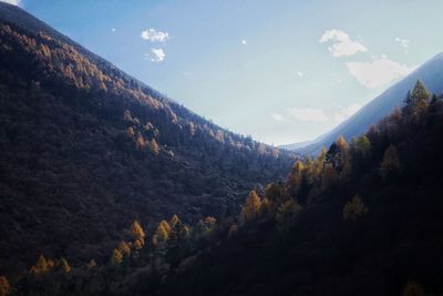 Scenic view of tree mountains against sky