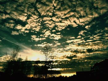 Low angle view of silhouette trees against sky