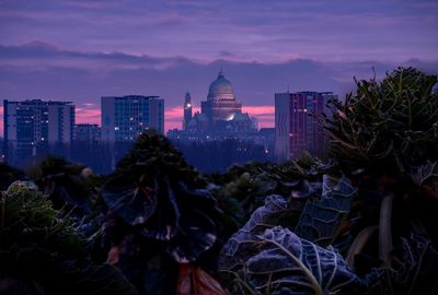 View of city at sunset