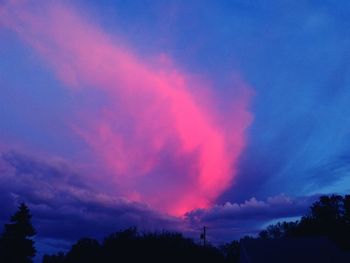 Silhouette of trees at sunset