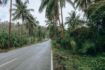 Road amidst trees against sky