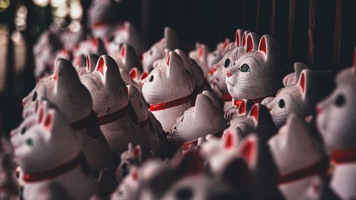 Close-up of stuffed toy