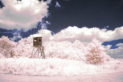 Scenic view of pink amidst field against sky