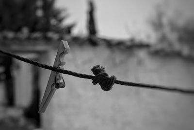 Close-up of barbed wire against fence