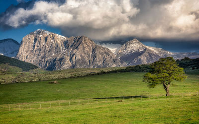 Scenic view of field and mountains against sky