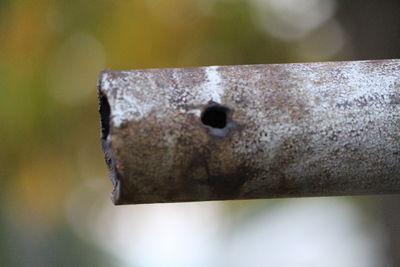 Close-up of rusty metal