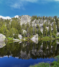 Scenic view of lake by trees against sky