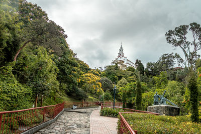 Footpath amidst trees against sky