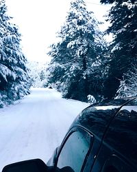 Car on road