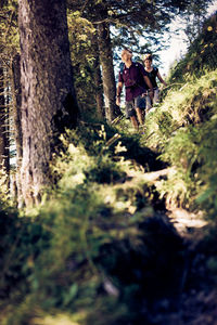 People on mountain road amidst trees in forest
