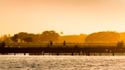 Silhouette men by trees against clear sky during sunset