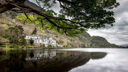 Reflection of trees in water