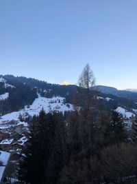 Trees on landscape against clear sky during winter