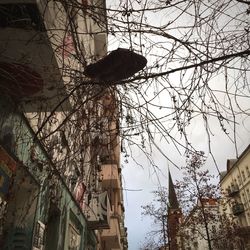 Low angle view of bare tree against sky